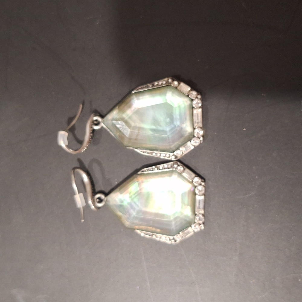 Chloe & Isabel Abalone/Clear Stone Dangle Earrings